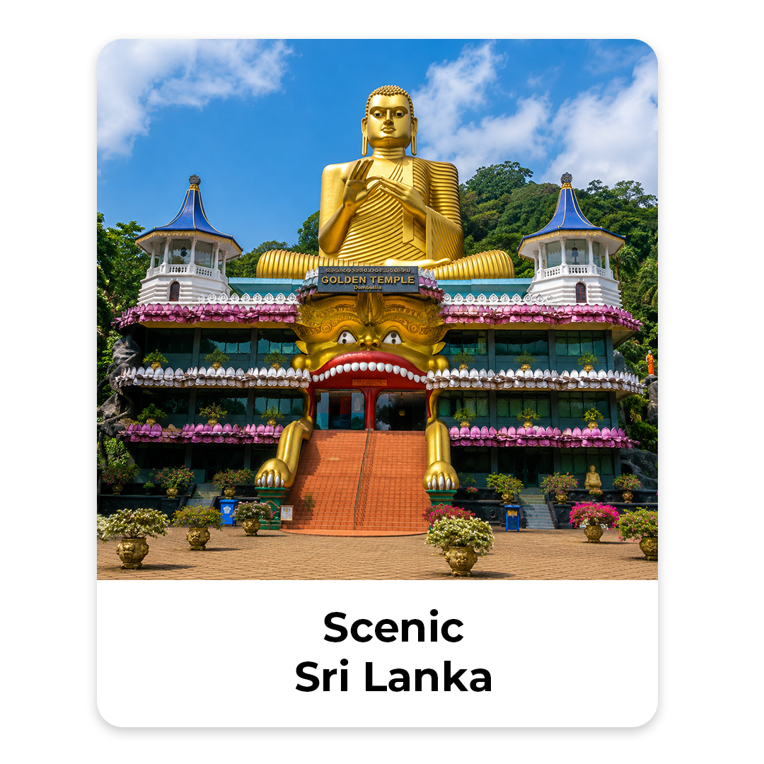 sec 02h senic srilanka